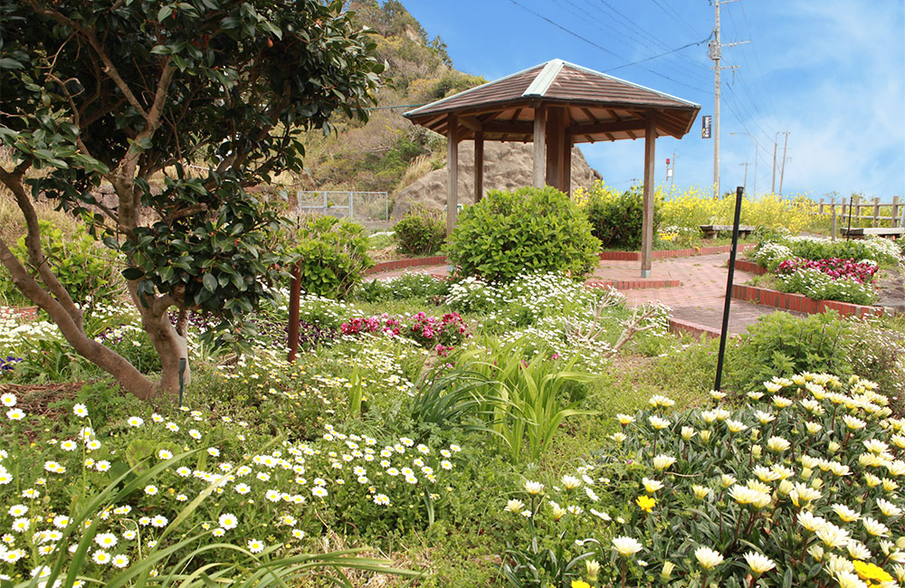 美しい海を一望