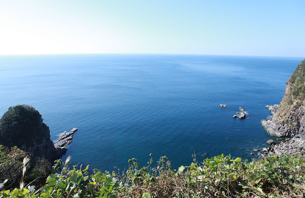 美しい海を一望